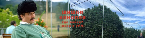 ПСИЛОЦИБИНОВЫЕ ГРИБЫ Алзамай