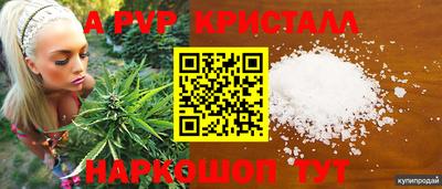 СК Гагарин
