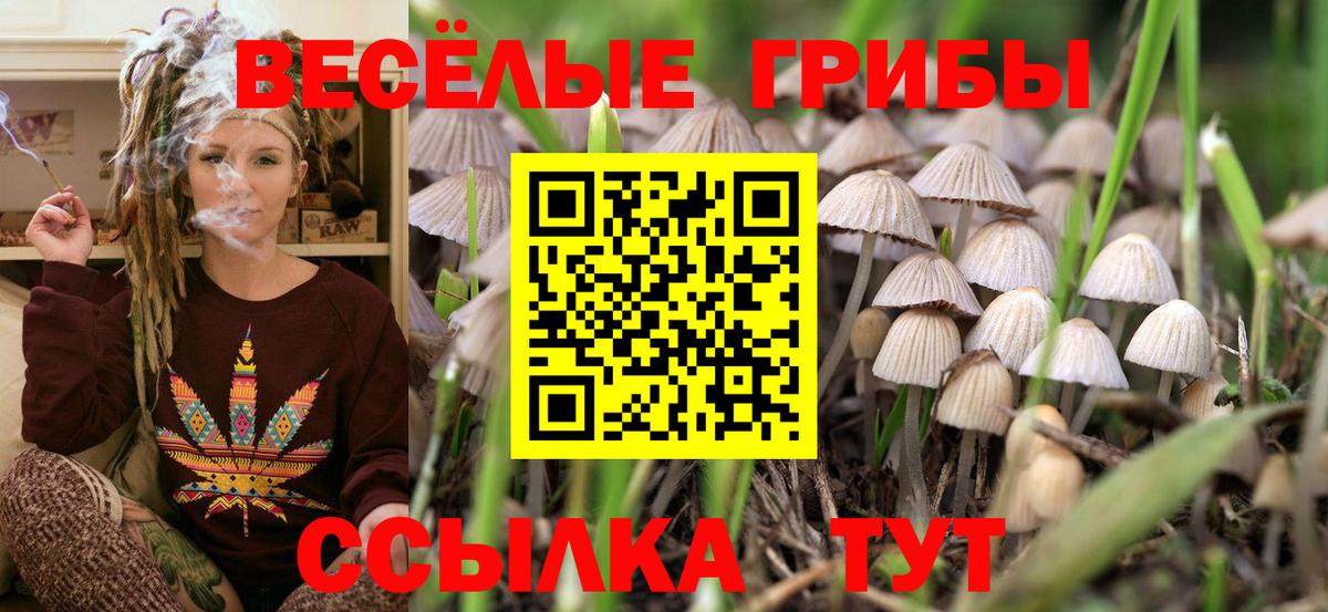 где можно купить наркотик  Галлюциногенные грибы мухоморы  Галлюциногенные грибы мухоморы  Вход с VPN  Клинцы 
